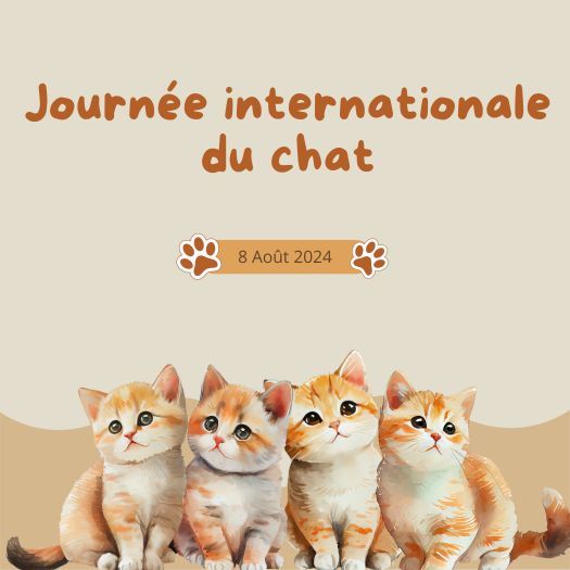 Journée internationale du chat - Coach canin à domicile