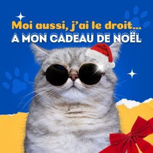 Cadeau de Noël 2024 pour chien et chat