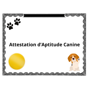 Attestation d’Aptitude Canine Pourquoi est-elle essentielle pour votre compagnon