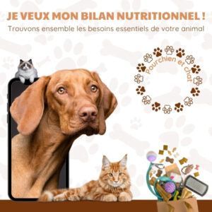 Bilan nutritionnel pour chiens et chats avec Coach Canin à Domicile au Mans