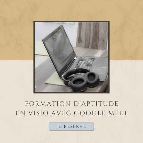 Formation d’aptitude en visio avec Google MEET