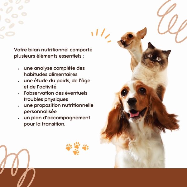 Votre bilan nutritionnel comporte plusieurs éléments essentiels